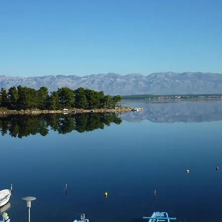 Ljilja Lejlighed Nin